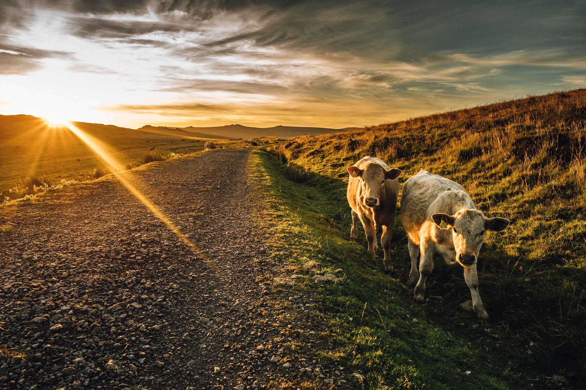 dartmoor camp 2020-15.jpg