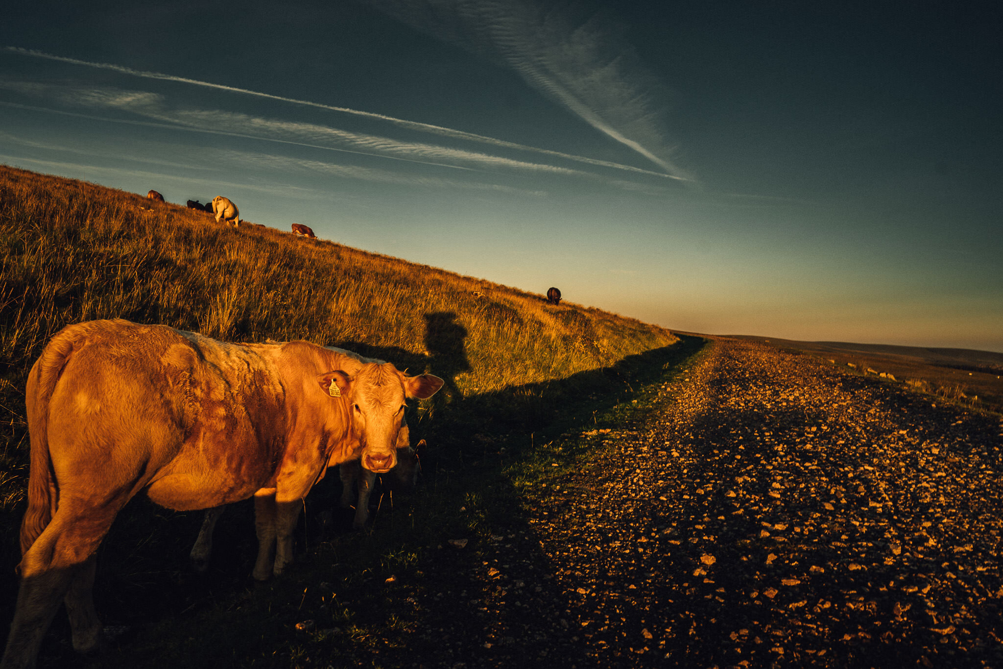 dartmoor camp 2020-16.jpg