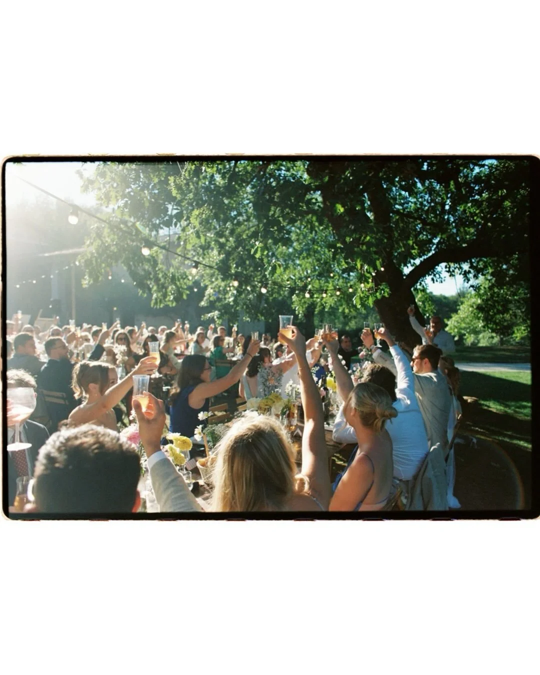 C + D on 35mm film, heady autumn days at Domaine Le Castelet.
#35mm #southoffrancewedding #filmphotography 

Venue @domainelecastelet_ 
Florist @dans_le_jardin_des_amoureuses