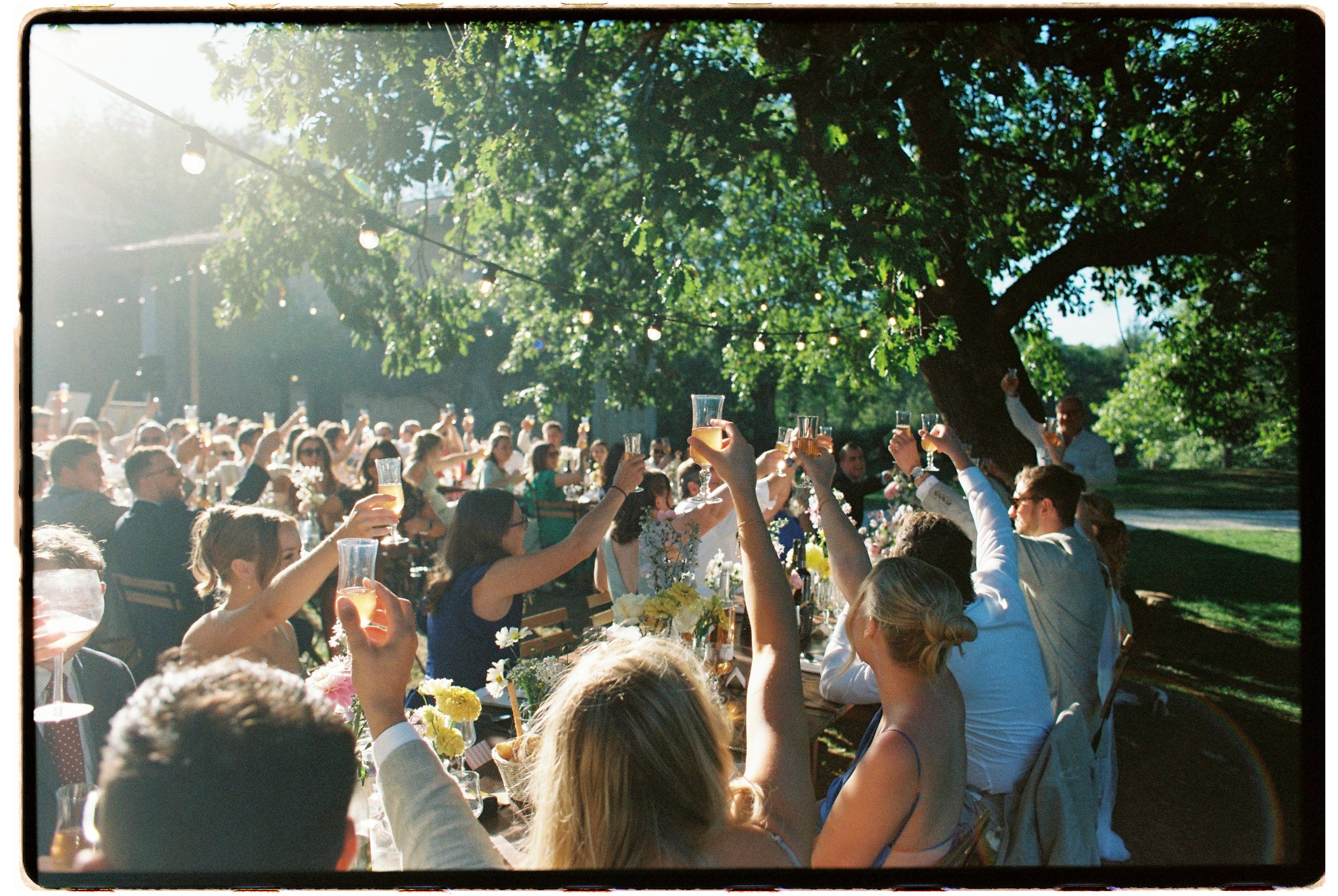Wedding guests in the south of France celebrate at a wedding reception by raising their glasses to cheers