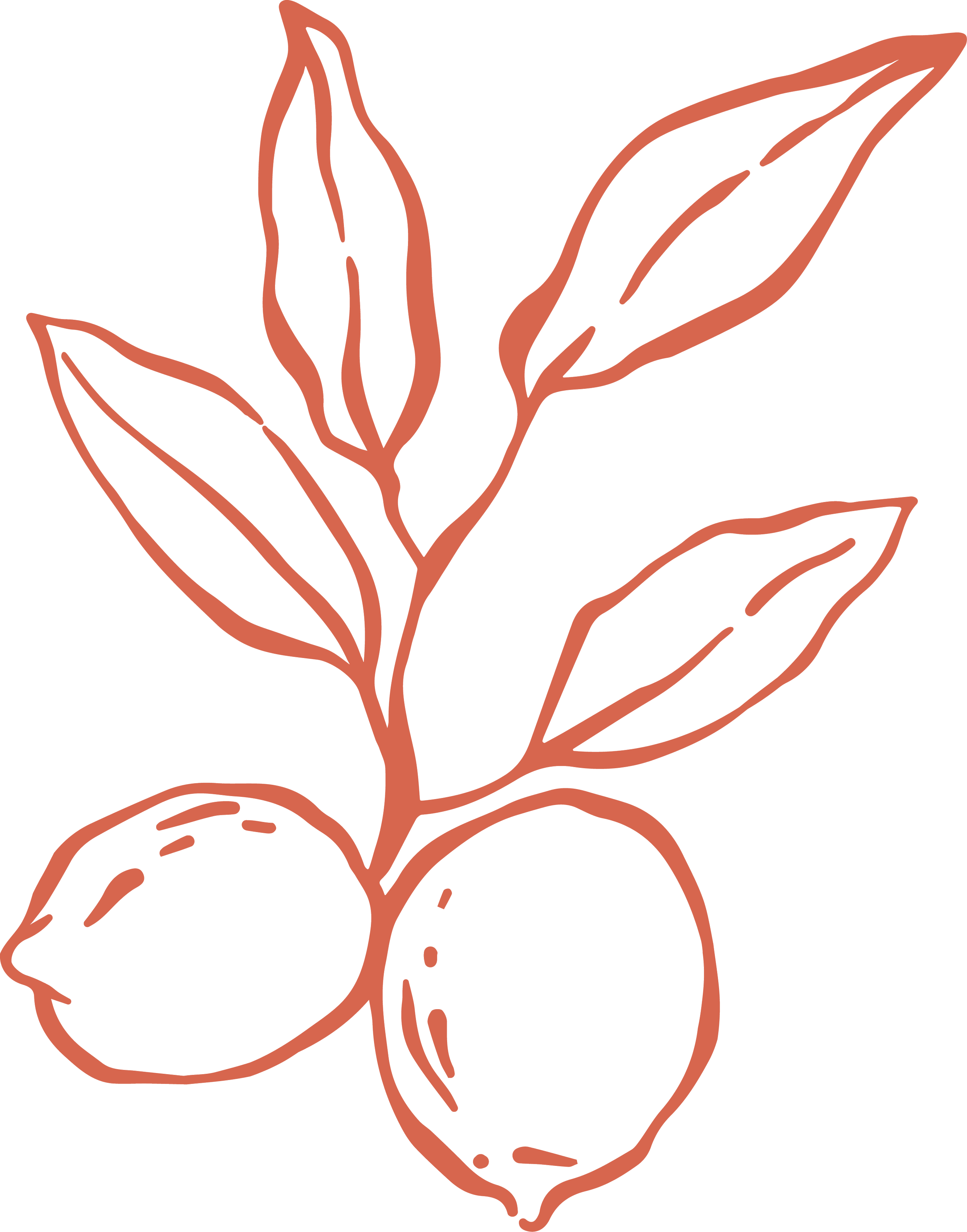 A minimalist line drawing of two lemons with leaves on a black background.