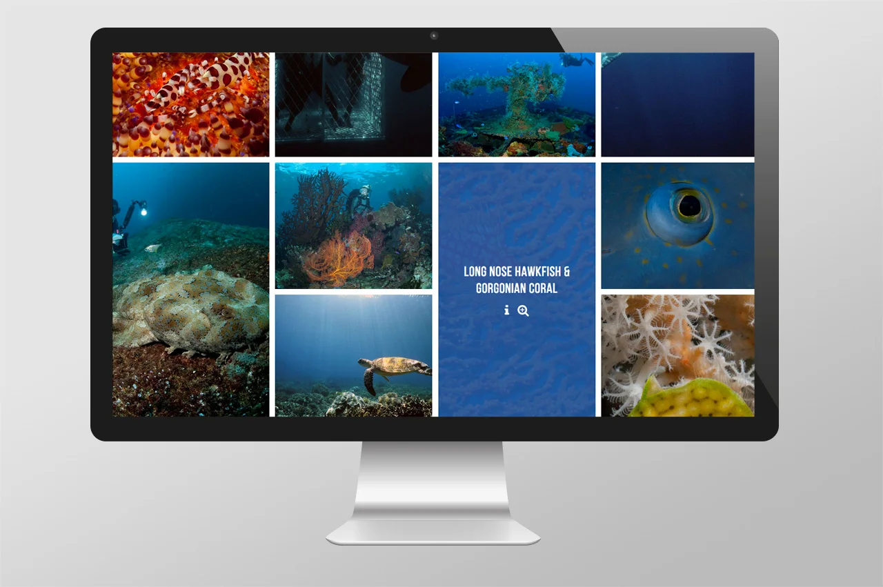 Dive_2000_Web_Gallery.jpg