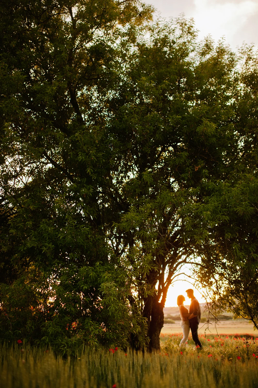 CYC_9081.jpg