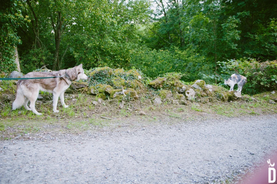 TRA_1775.jpg