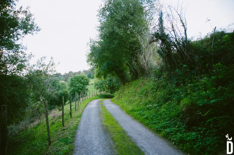 TRA_1797.jpg