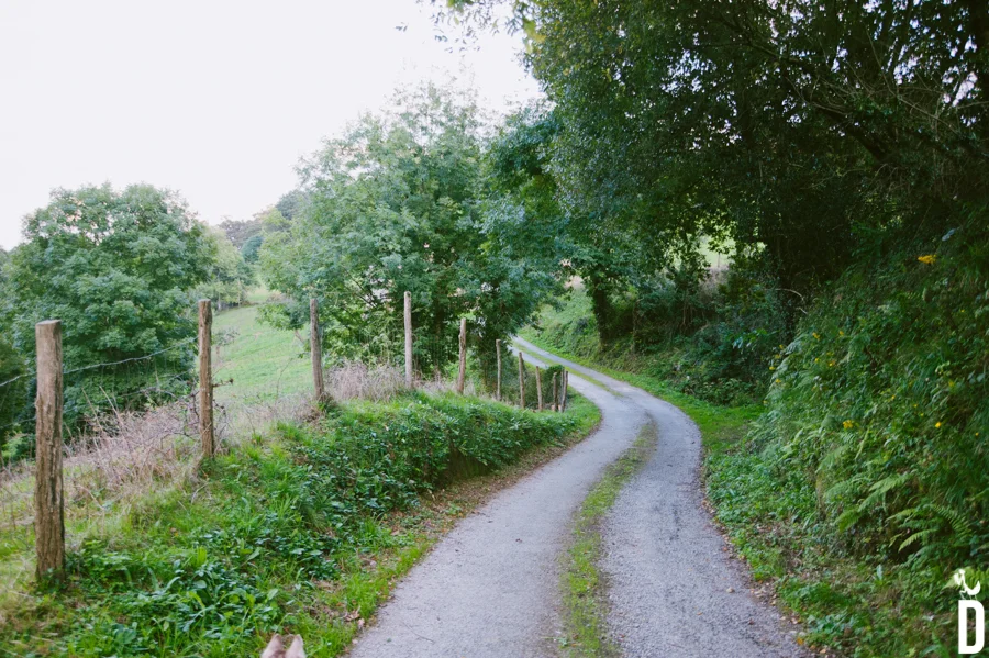 TRA_1803.jpg