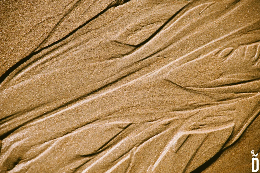 TRA_2447.jpg