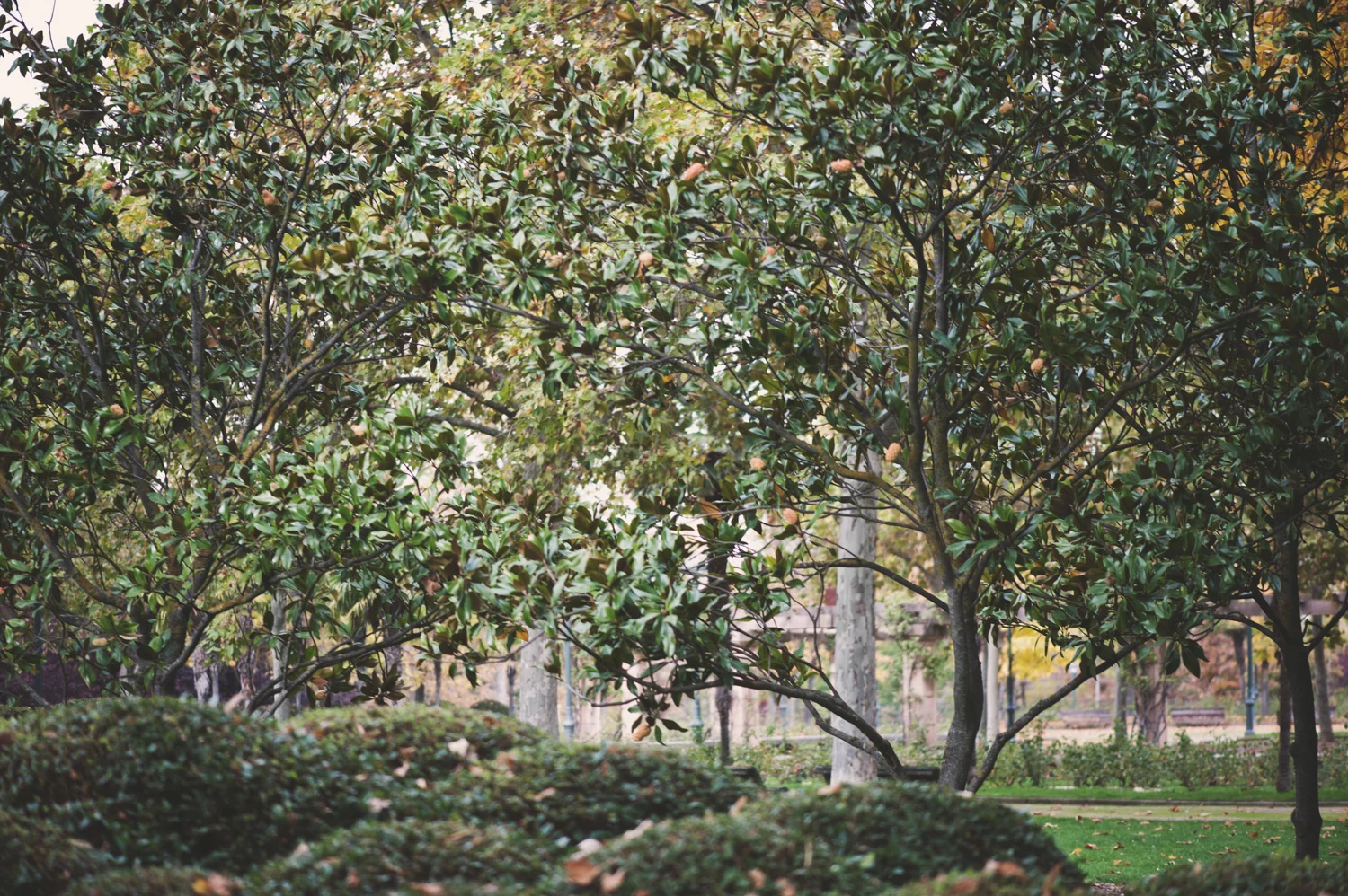 PYV_2145.jpg