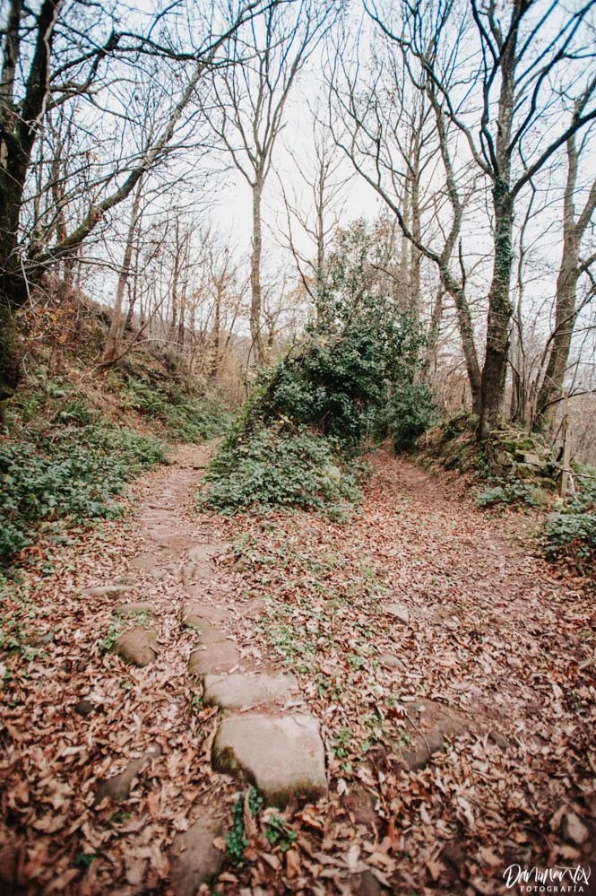 NAV_4984.jpg