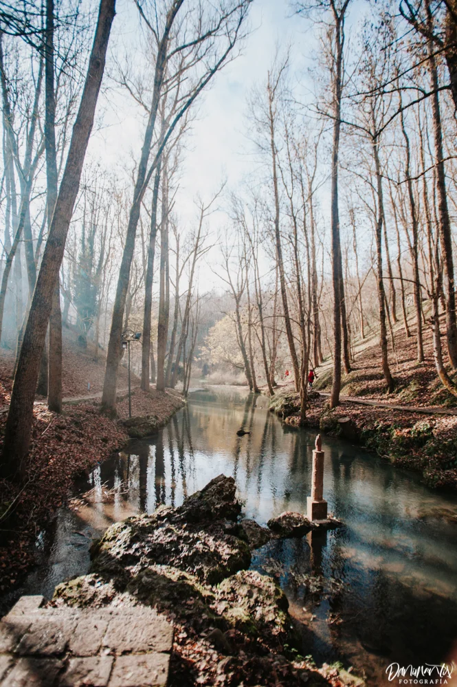 NAV_5068.jpg