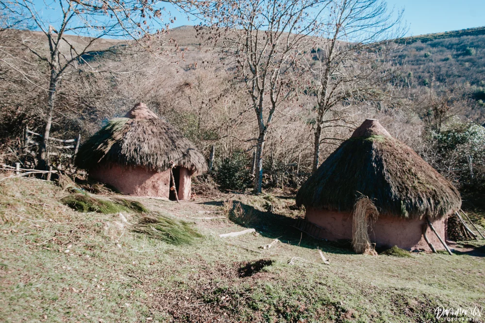 NAV_5103.jpg