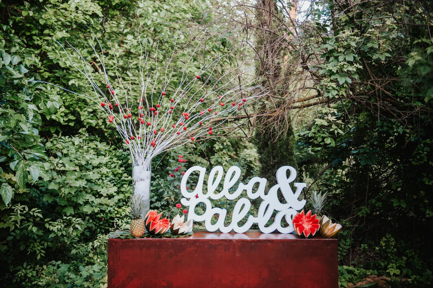 Alba y pablo Boda-9920.jpg