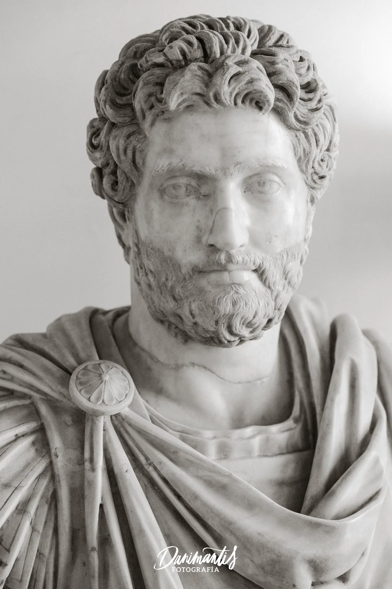 DAN_9728.jpg