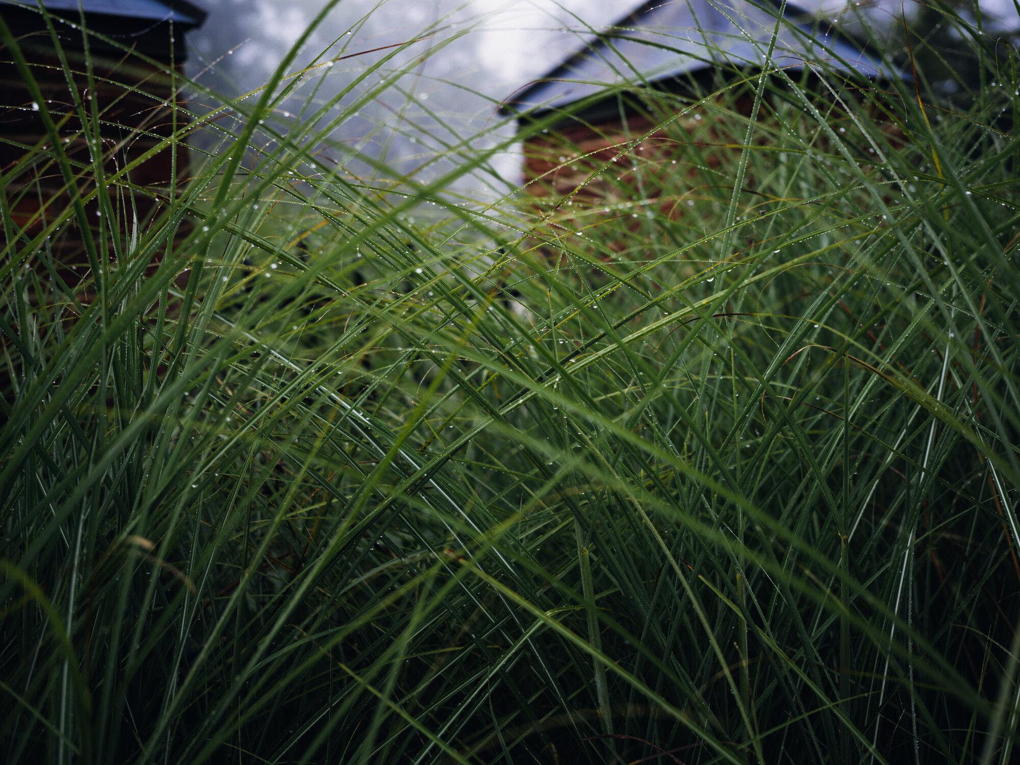 B0000780.jpg
