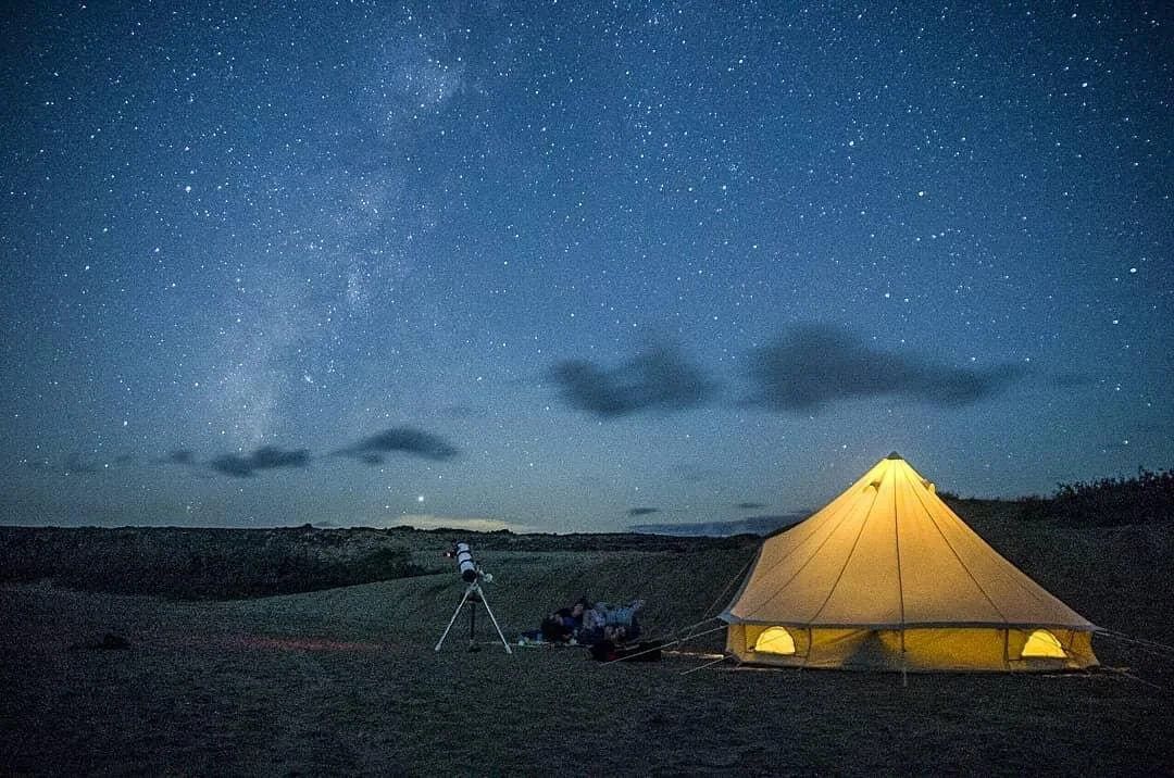 9C50E85C-A89B-455E-99DF-9027A16763BA