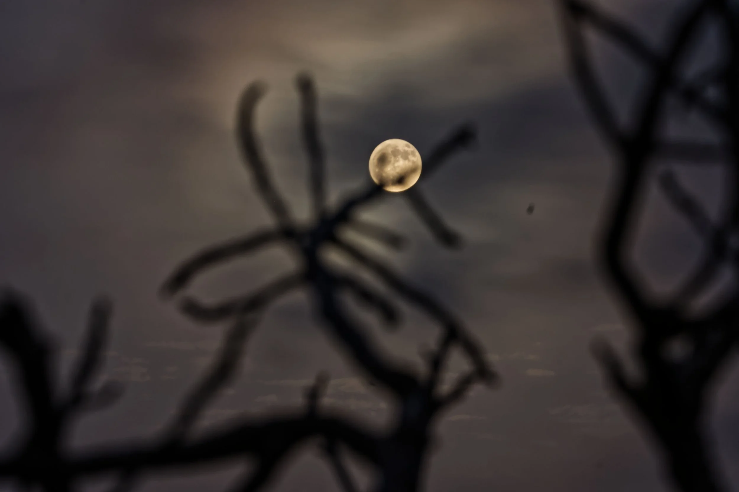 Promotion Photos 750 3148.jpg