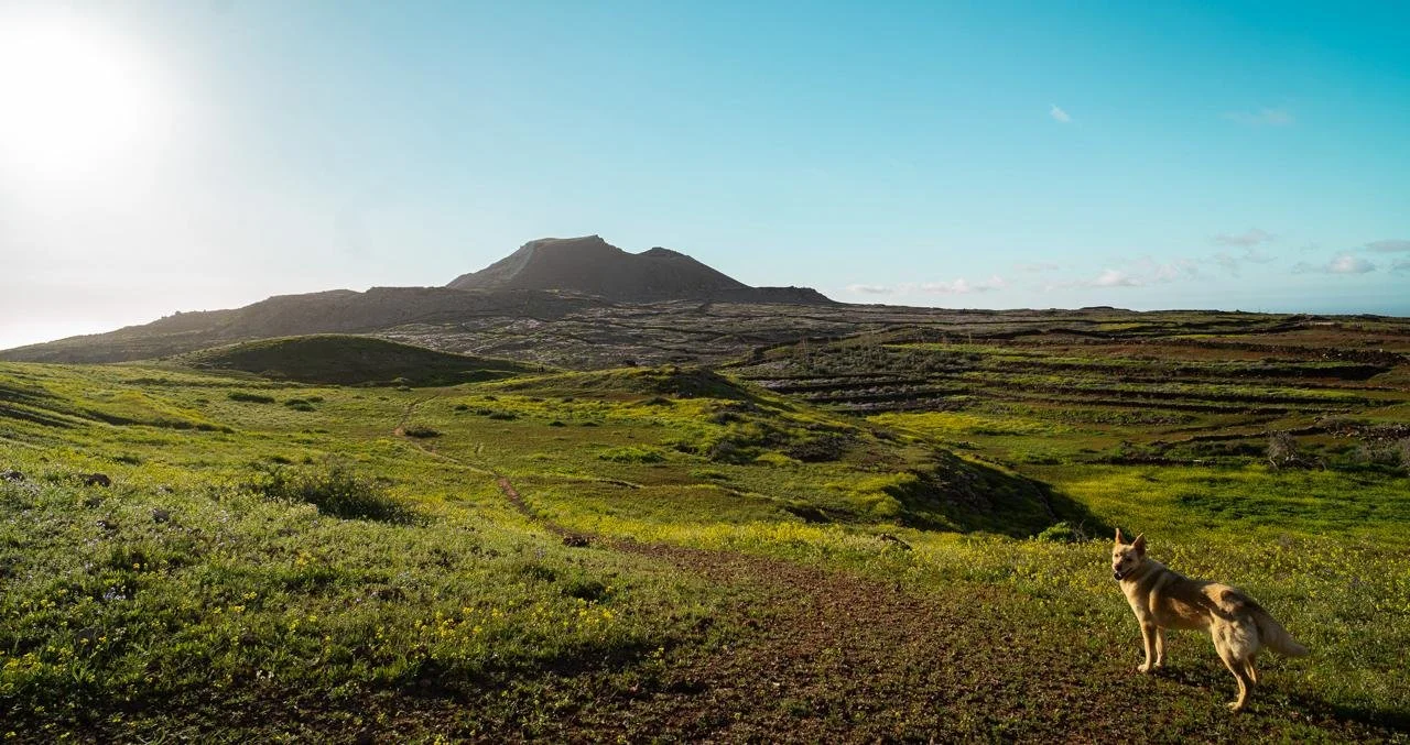 PHOTO-2026-02-11-20-35-00 2.jpg