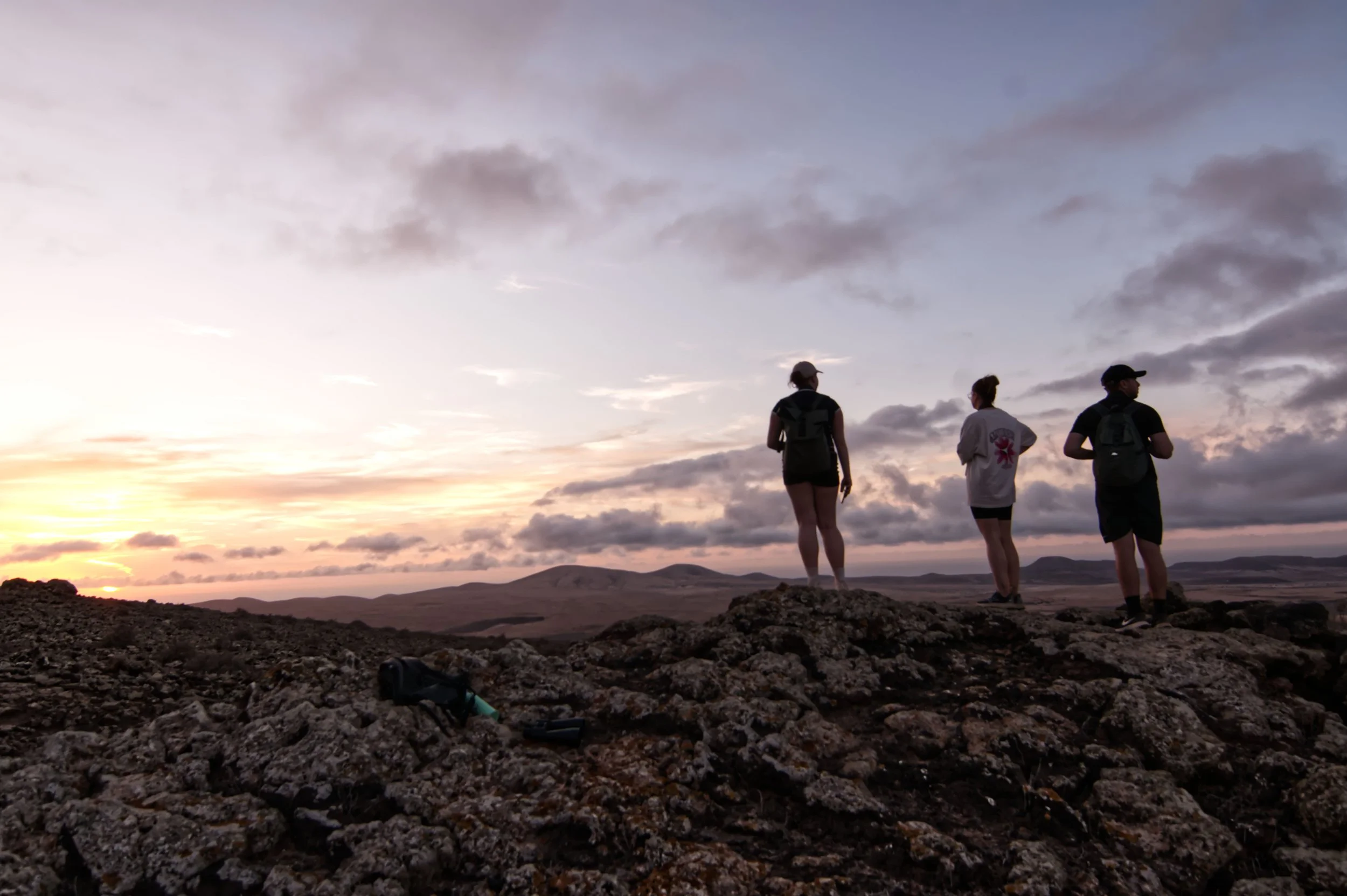 Moon Walk Nov 2025.jpg