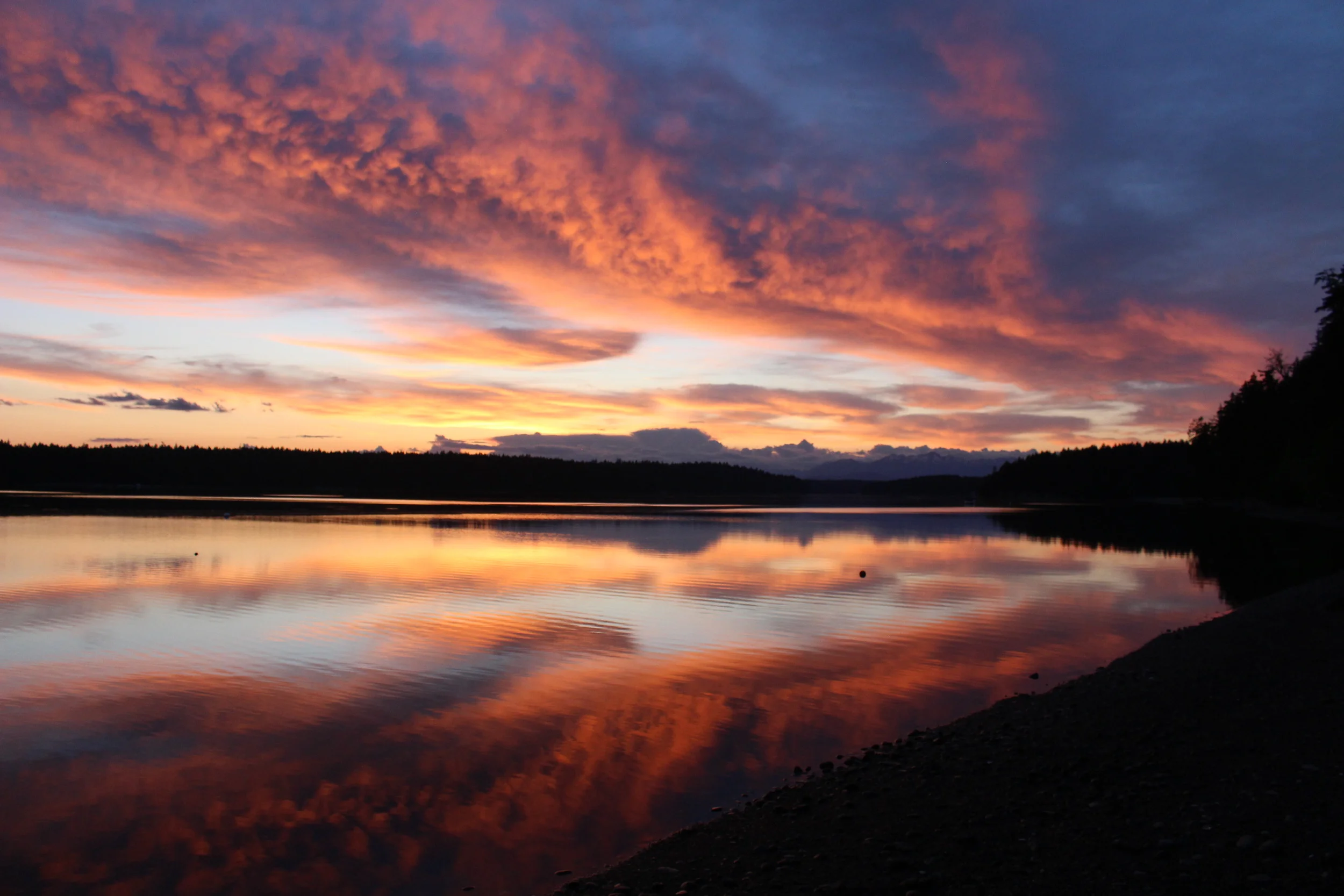 My Weekend in Photos - Washington Getaway 