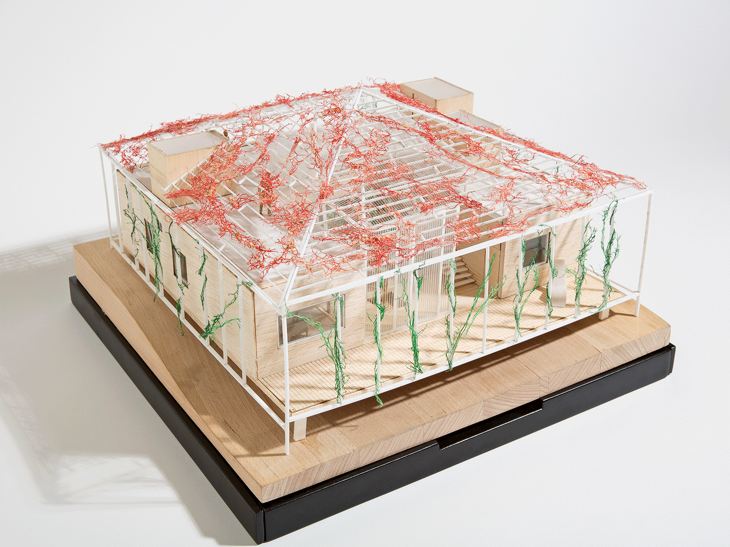  Gazebo House Model - Karim Nader Studio 