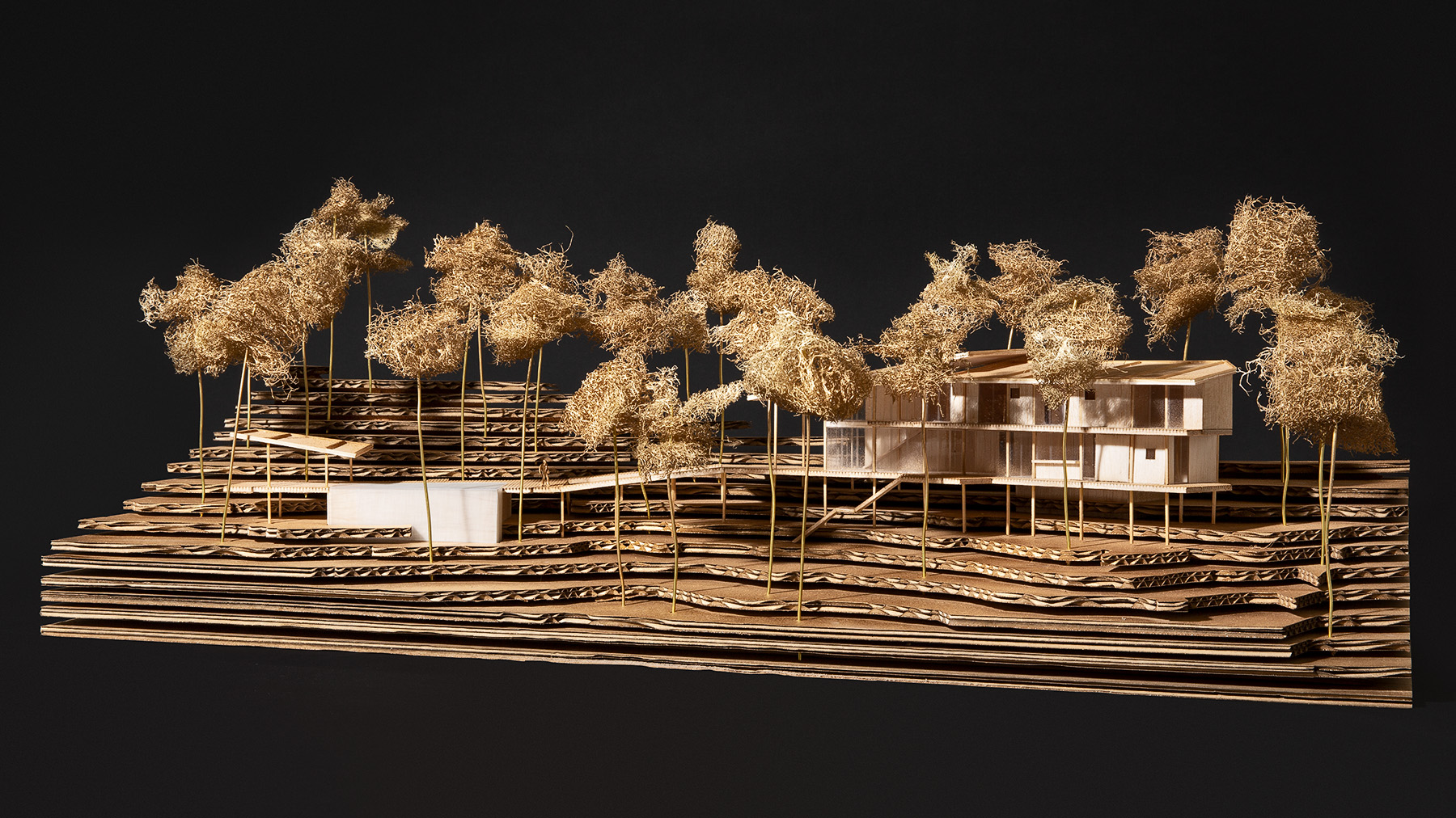 The Long House Model - Karim Nader Studio