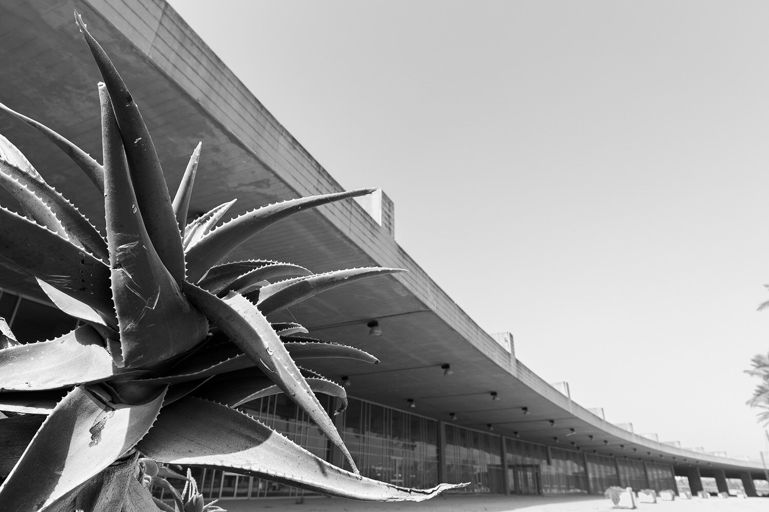  Tripoli Permanent International Fair - Oscar Niemeyer 