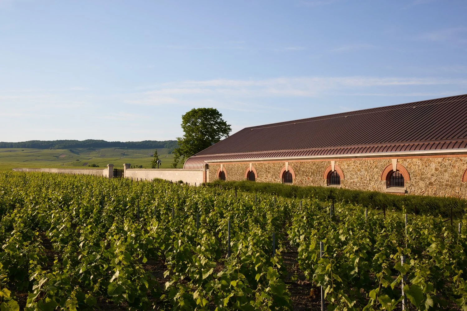  Krug Champagne - AW2 
