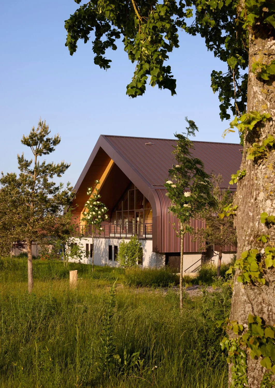  Krug Champagne - AW2 