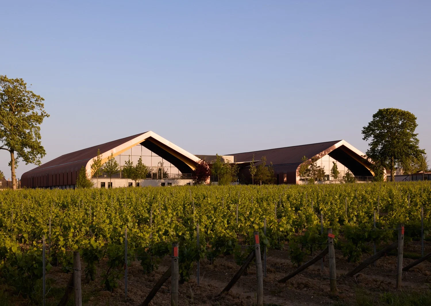  Krug Champagne - AW2 