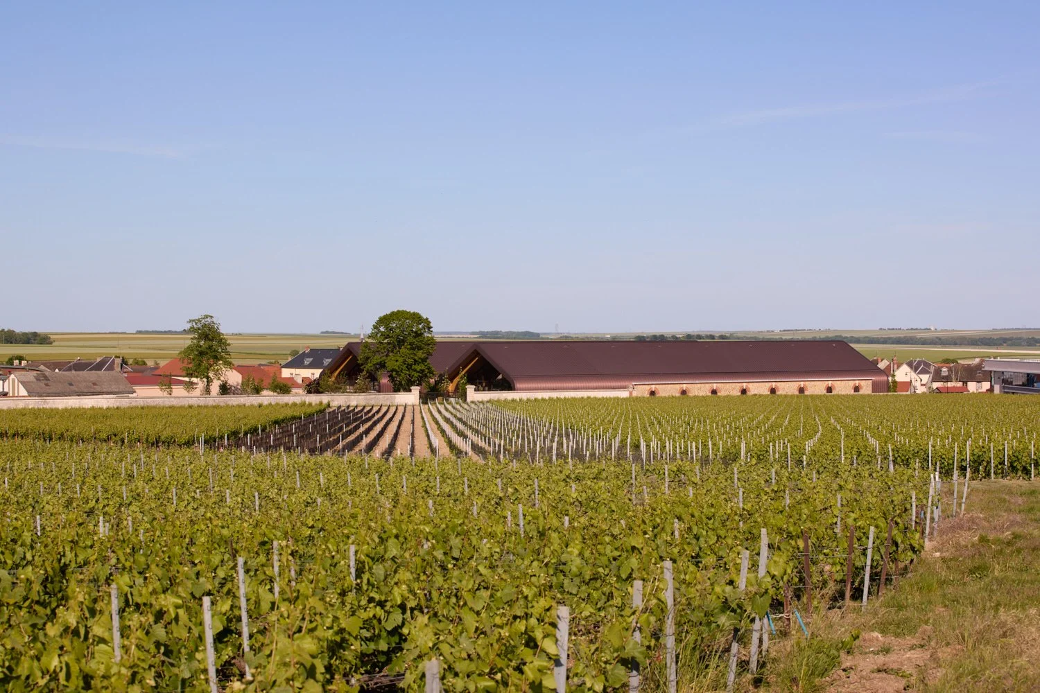  Krug Champagne - AW2 