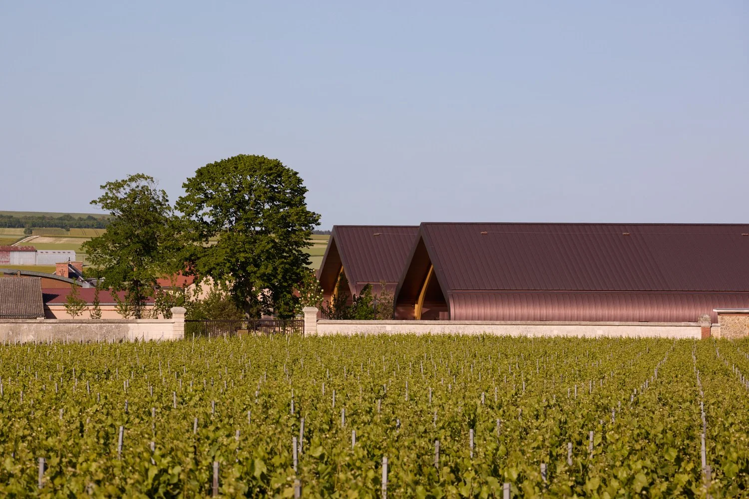  Krug Champagne - AW2 