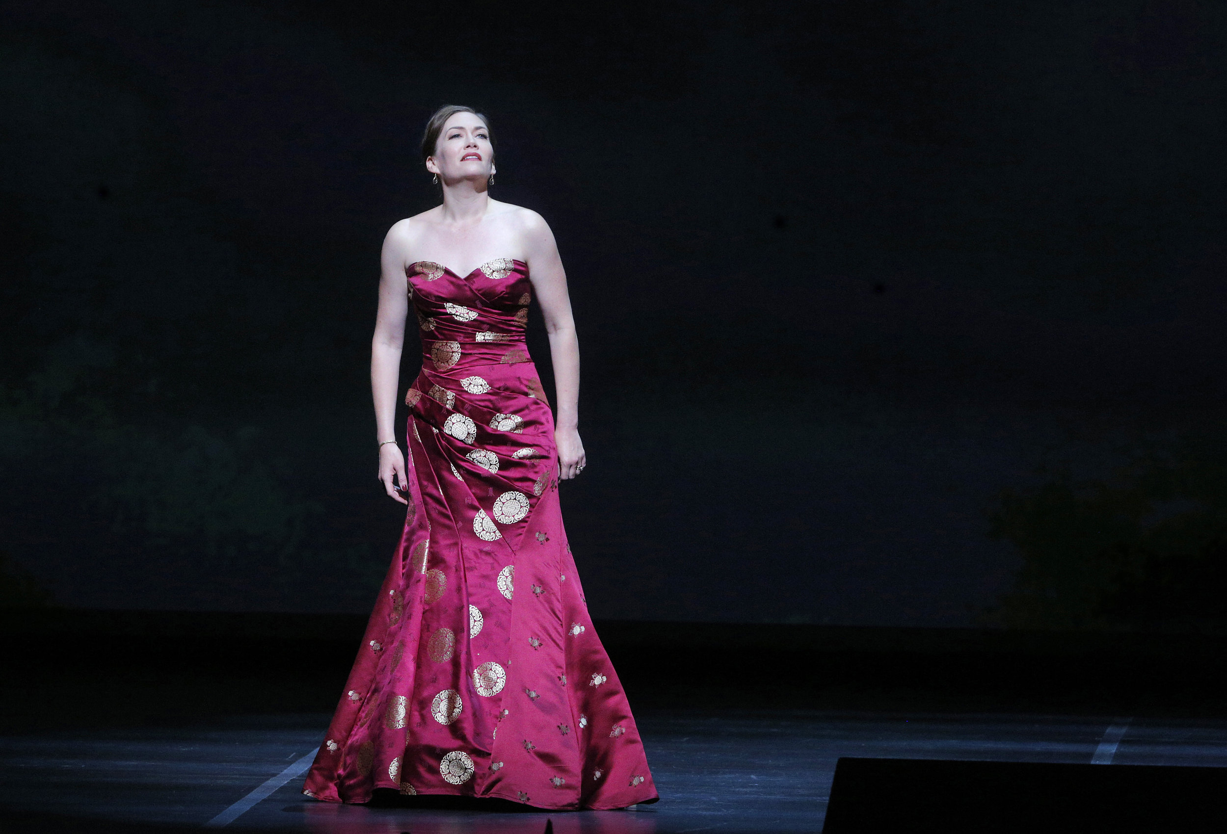 David Gockley Gala, San Francisco Opera 2016 © Cory Weaver