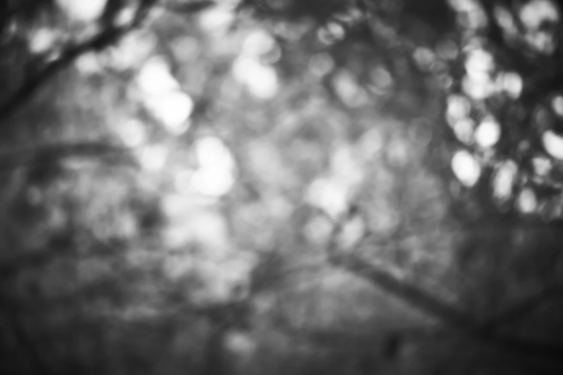 0S9P6567.jpg