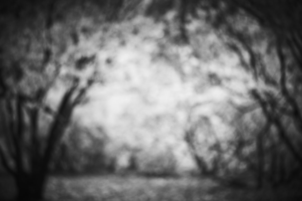 0S9P6565.jpg
