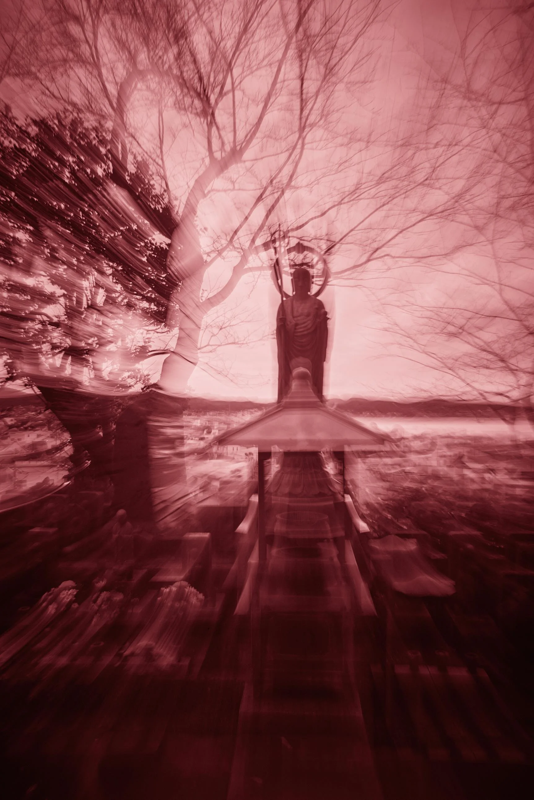_54A9839.jpg