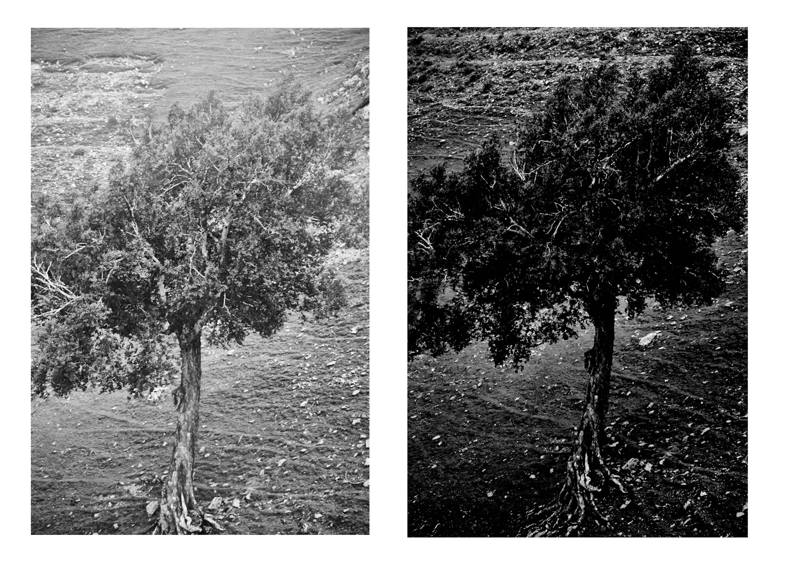 Untitled-1.jpg