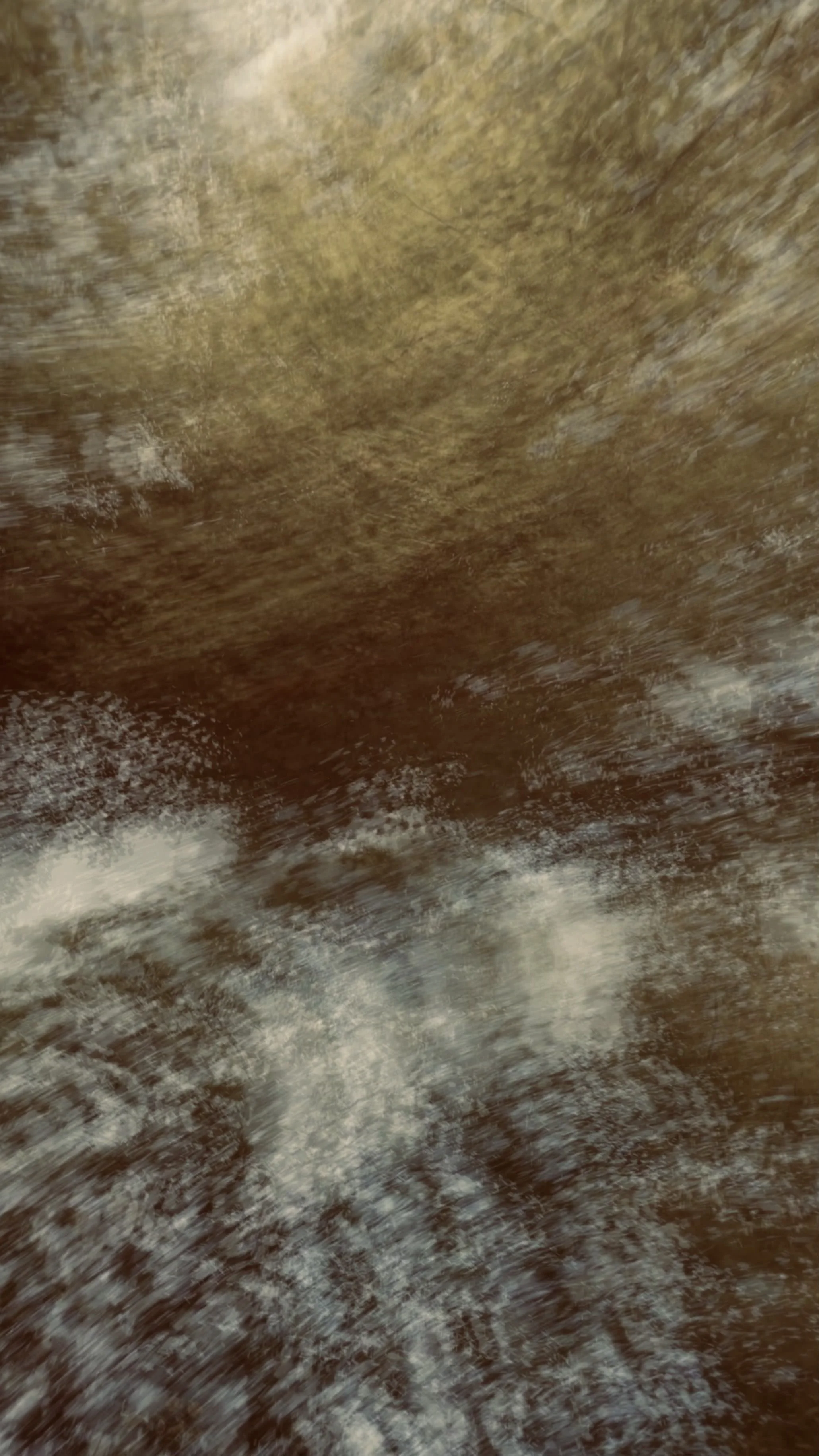 FullSizeRender_5.jpg