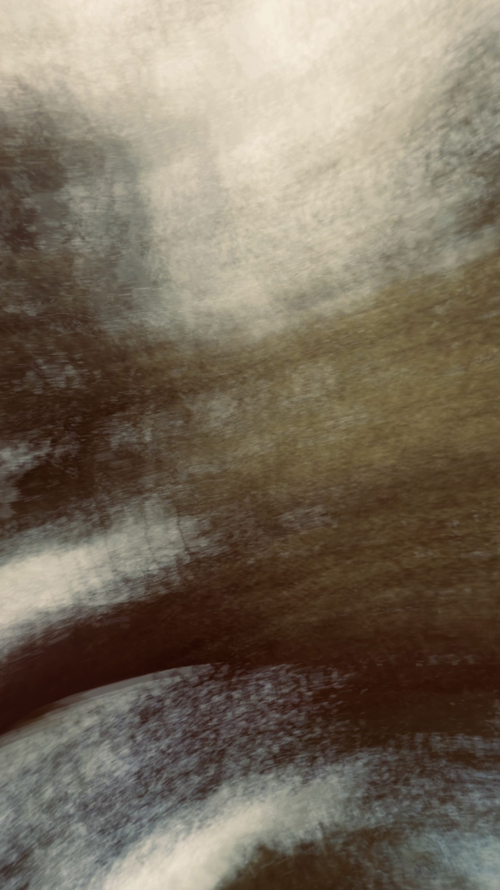 FullSizeRender_7.jpg