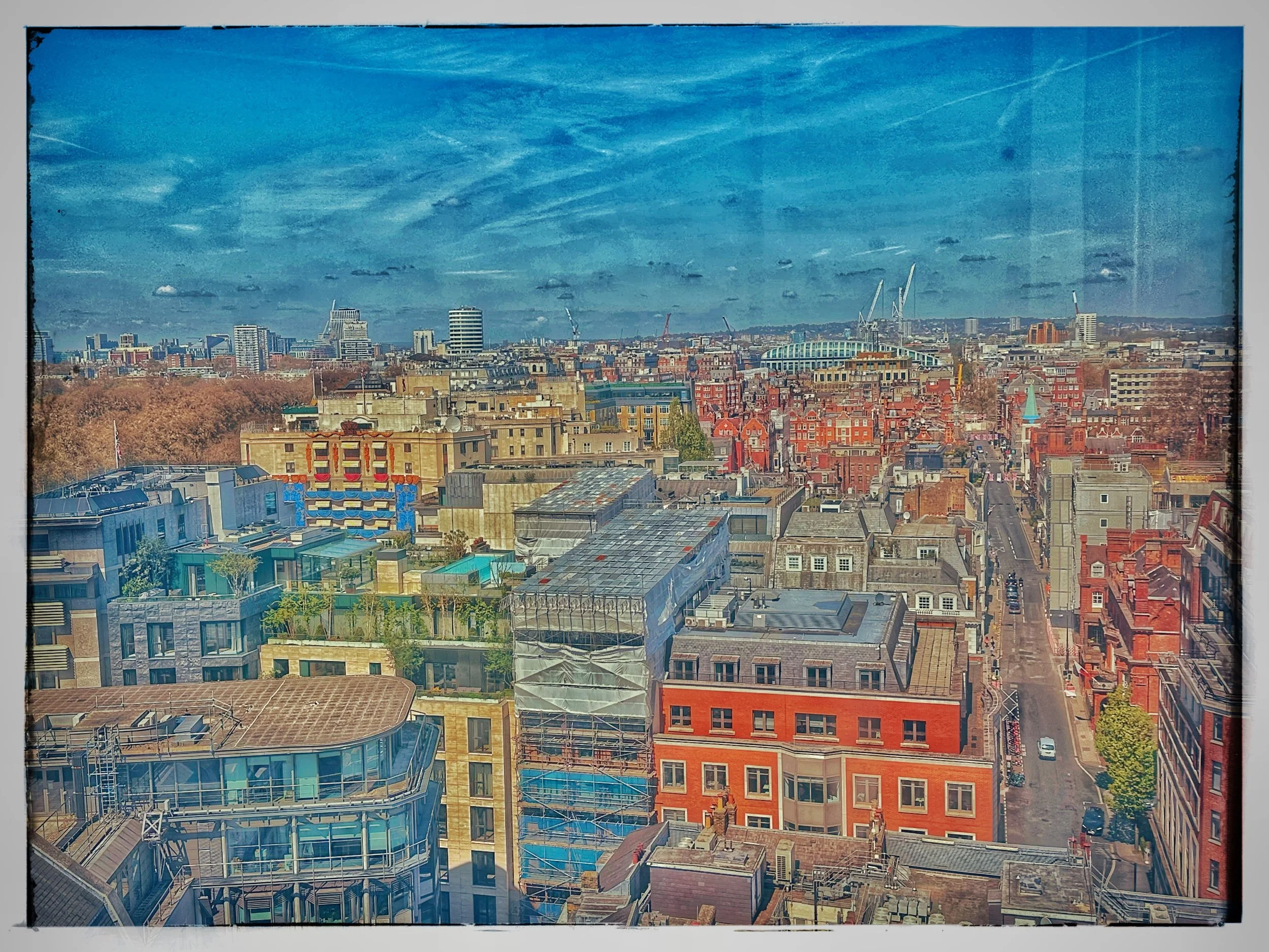 IMG_8300.jpg