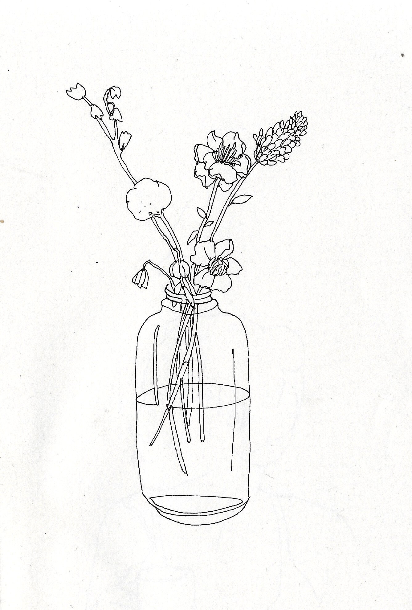 Scan 1 copy 3.jpeg