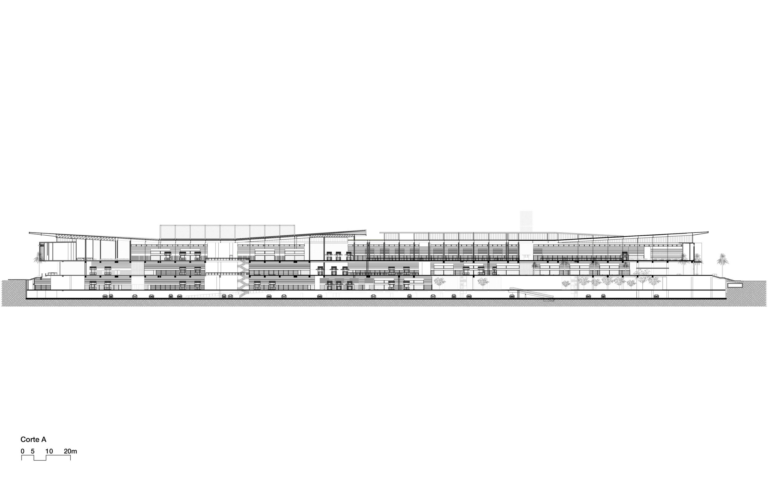 CORTES-01.jpg