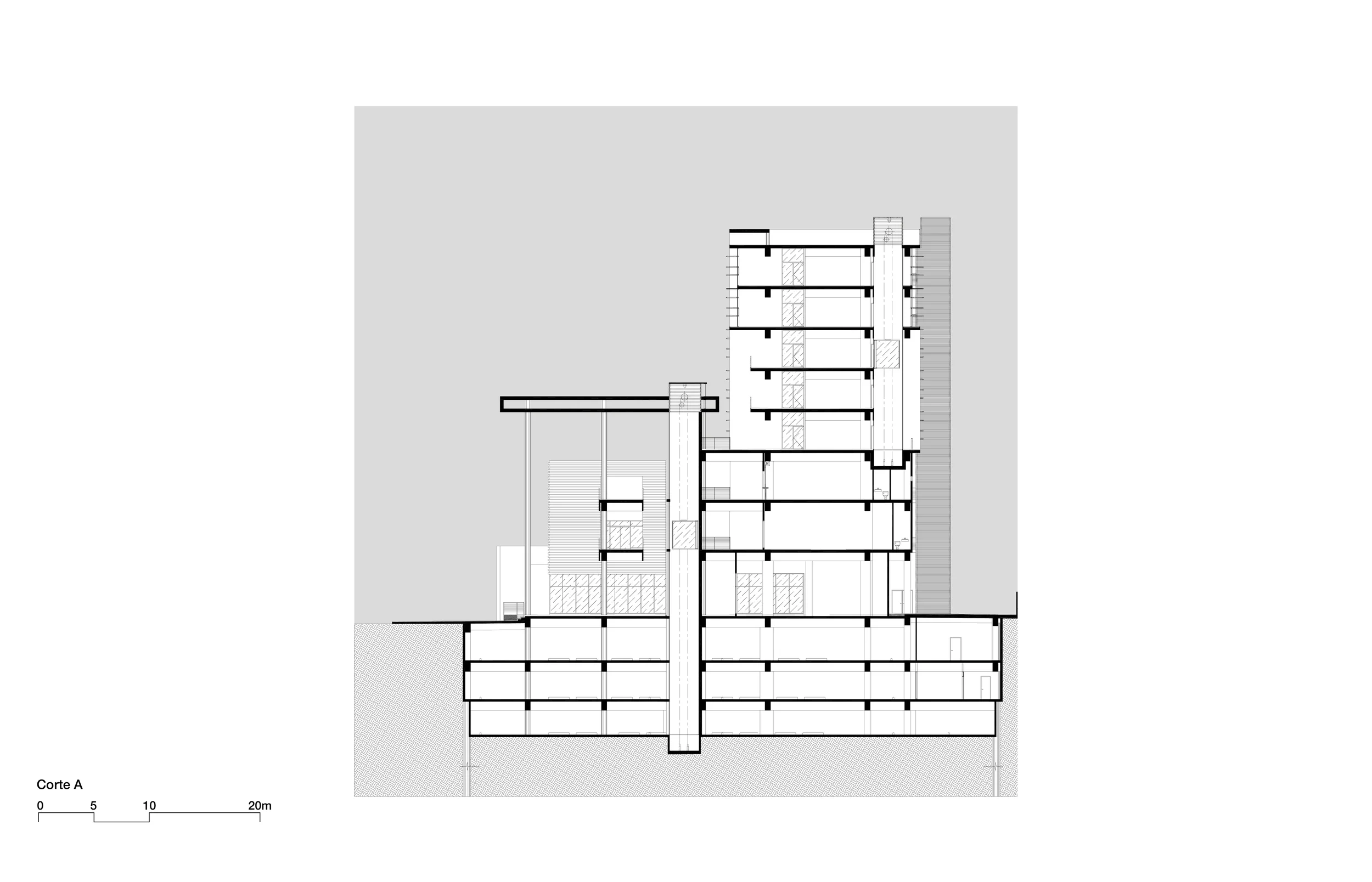 CORTES-01.jpg