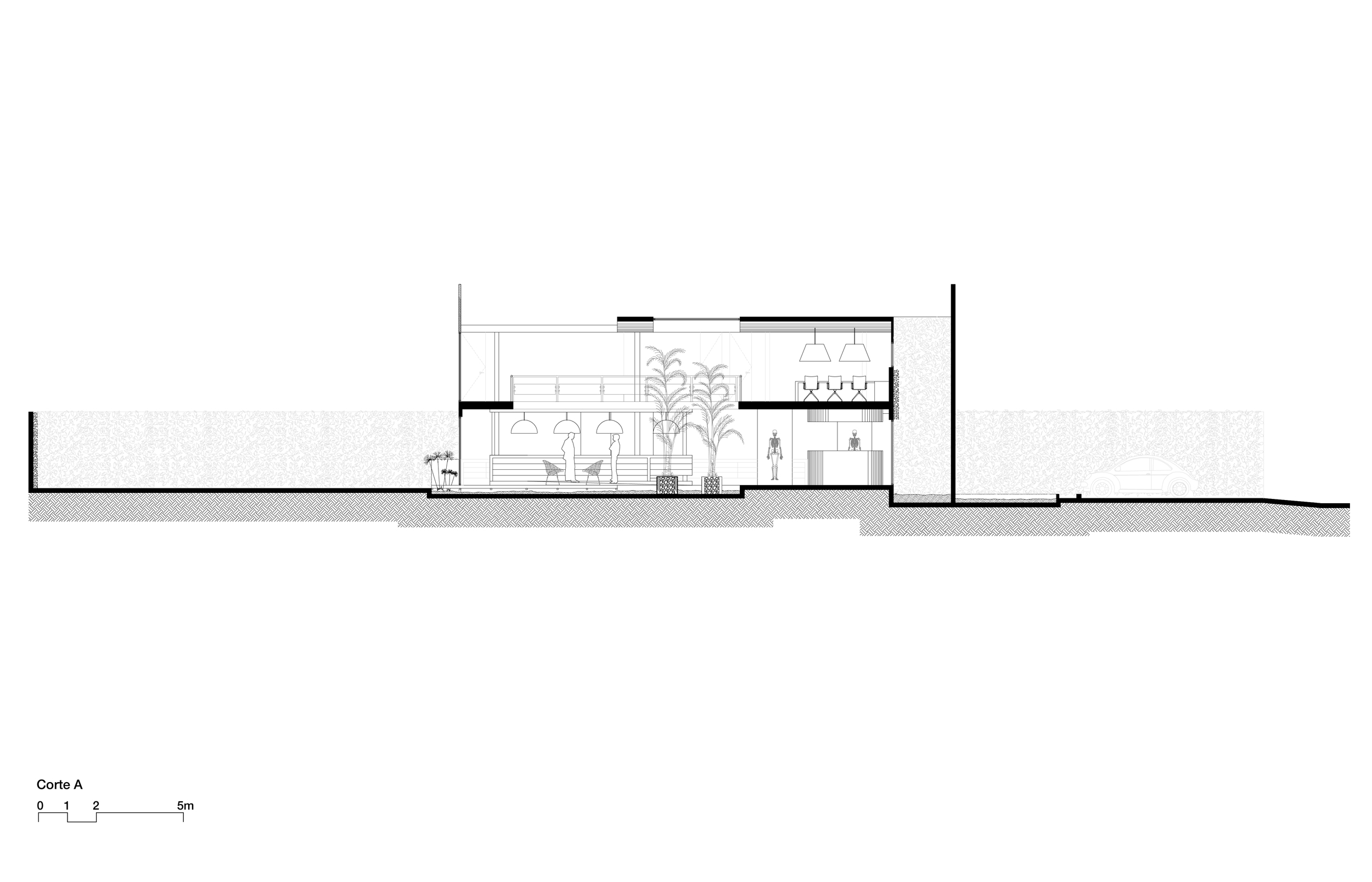 CORTES-01.jpg