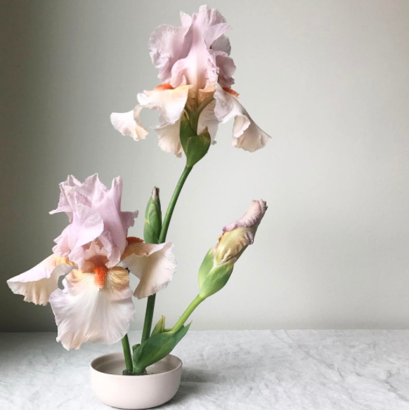The Local Florist to Follow on Instagram : Tinge Floral | Alexandrea Jarvis Architecture and Interiors