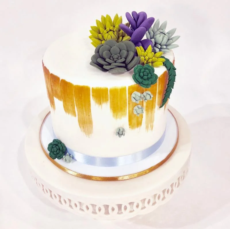 Succulent Cake