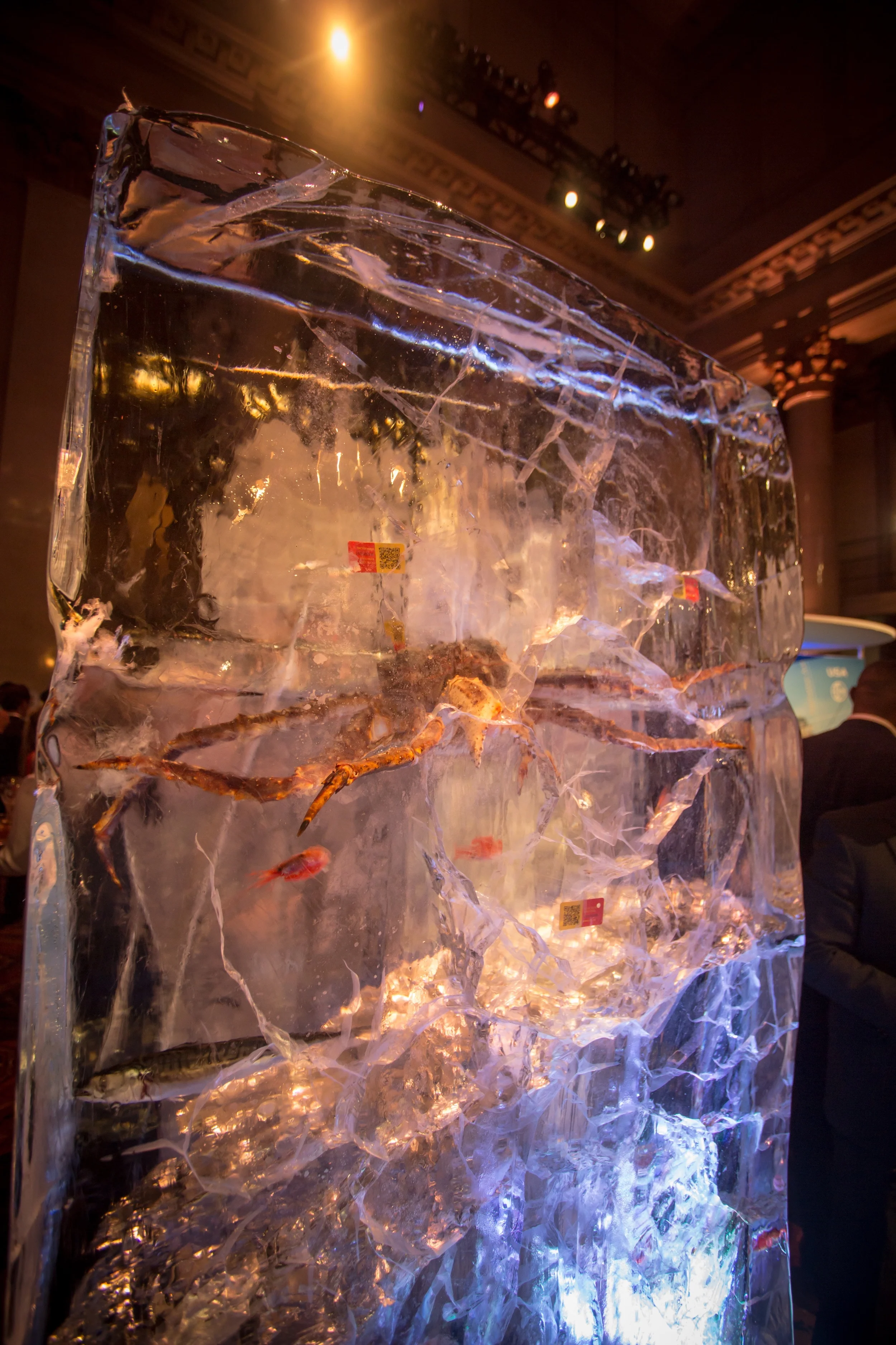 WORLDS 50 BEST RESTAURANTS AWARDS NORWAY SEAFOOD_BRIAN SAMUELS PHOTOGRAPHY_JUNE 13 2016_ - 50.jpg