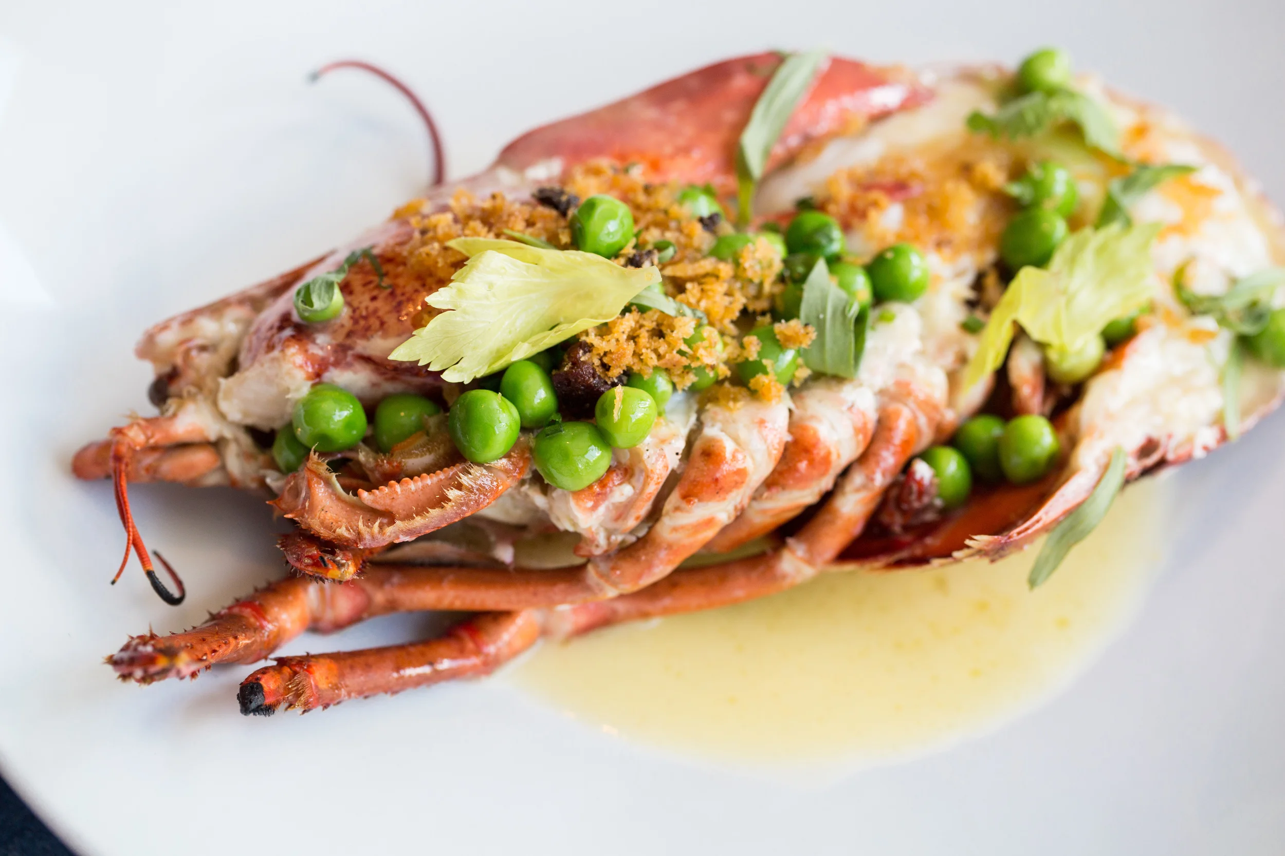 B&G OYSTERS_BRIAN SAMUELS PHOTOGRAPHY_JUNE 2016-38.jpg