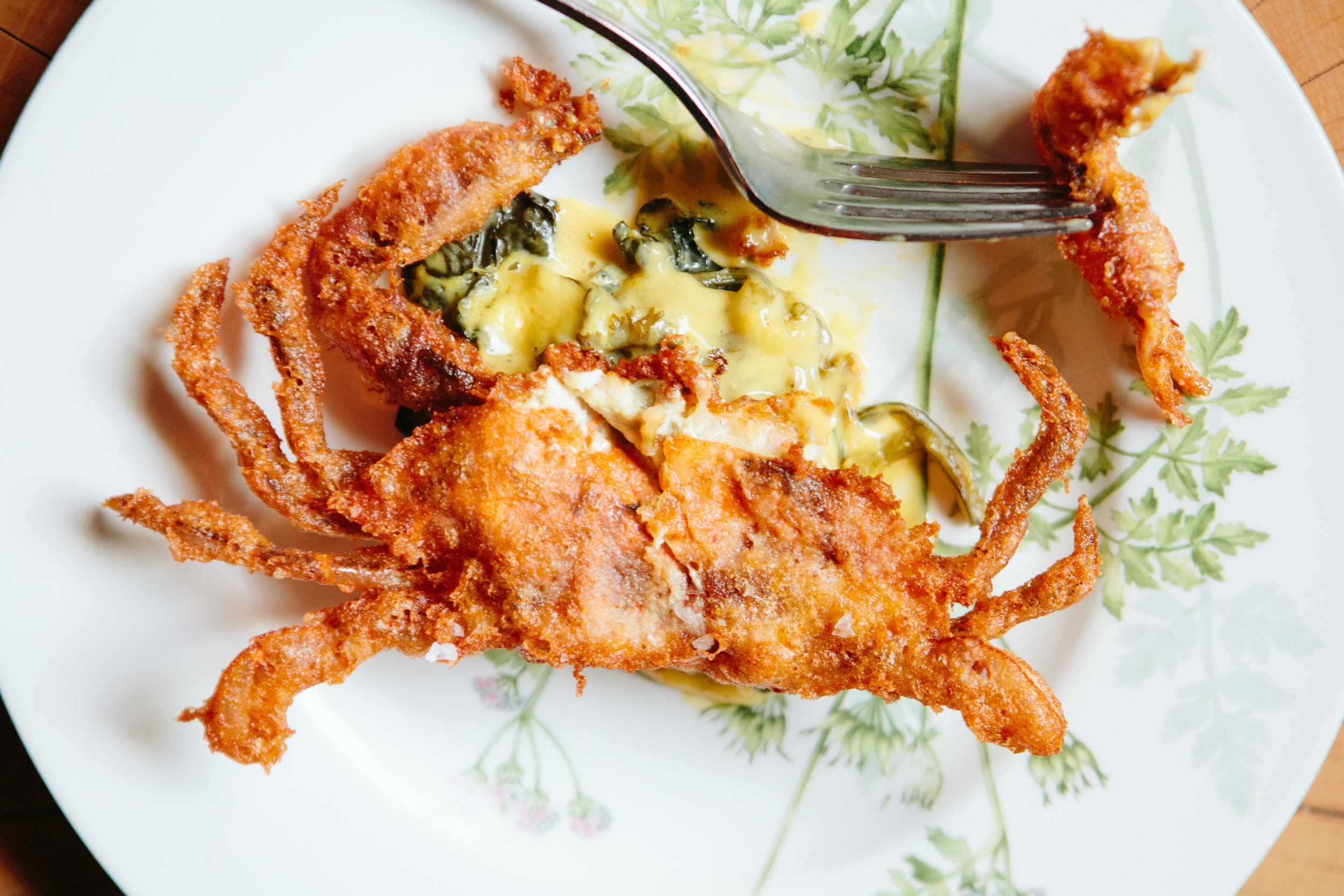 BONDIR_THE FOOD LENS_BRIAN SAMUELS PHOTOGRAPHY_JULY 2016-16.jpg