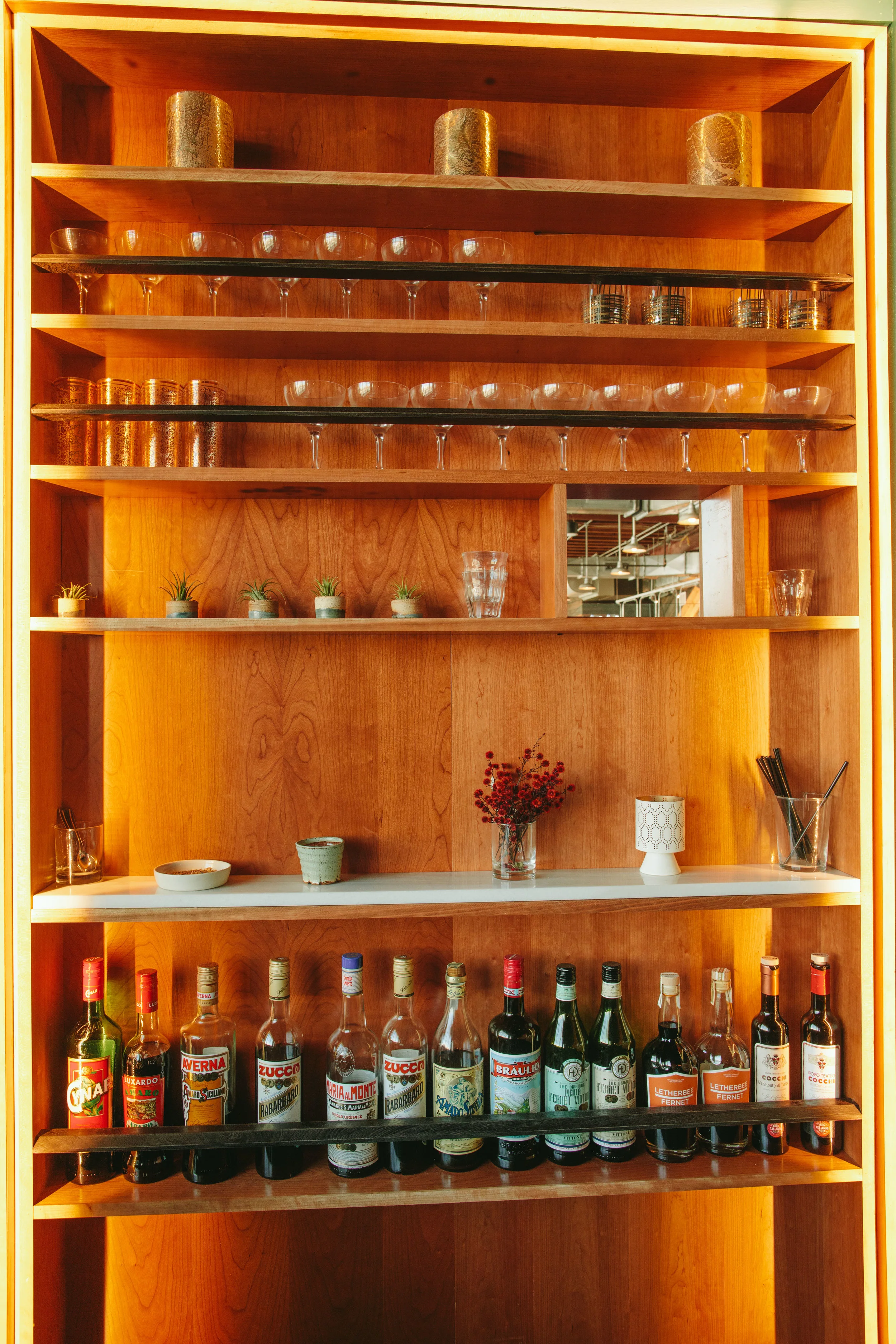 FAT HEN_BRIAN SAMUELS PHOTOGRAPHY_FEBRUARY 2017-6505.jpg