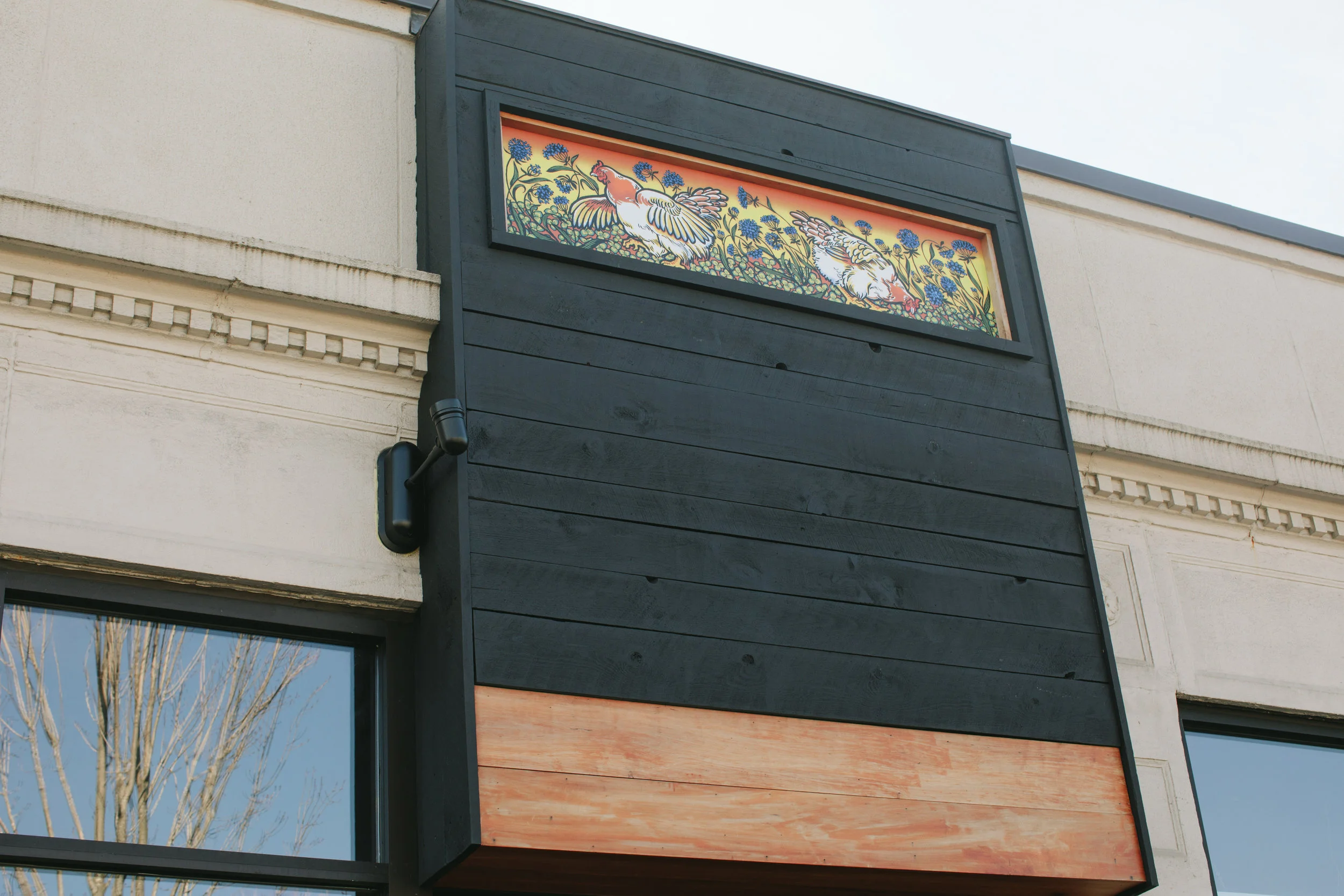 FAT HEN_BRIAN SAMUELS PHOTOGRAPHY_FEBRUARY 2017-7475.jpg